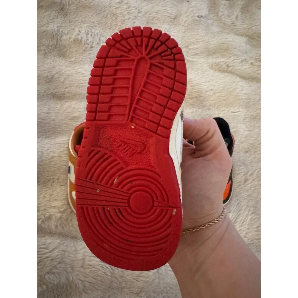 Nike Dunks 6C